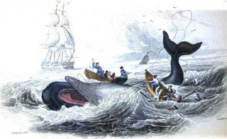 Illustration for article titled 1846: The Year We Hit Peak Sperm Whale Oil